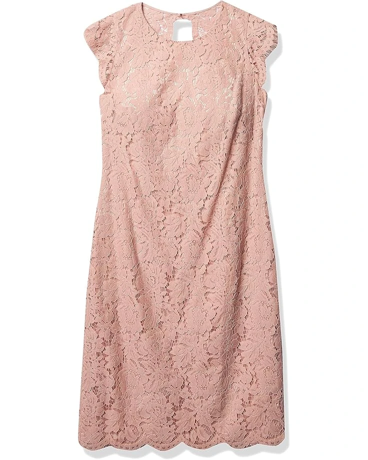 Vince Camuto Camuto Women's Lace Jewel Neck Cap Scallop Sleeve Sheath Dress Vince Camuto Camuto Women's Lace Jewel Neck Cap Scallop Sleeve Sheath Dress -Vince Camuto 81LR0ydlngL. AC SR736920